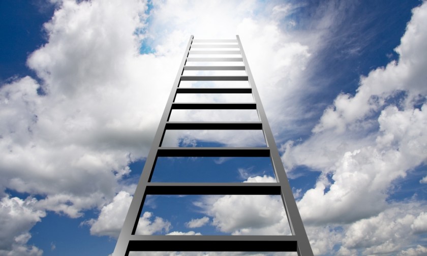 Conquer The Career Ladder