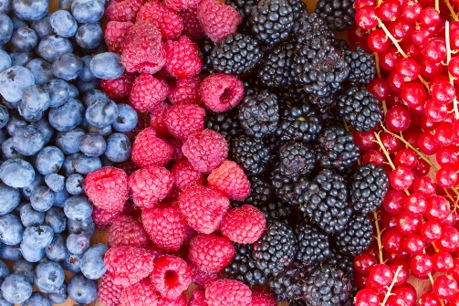 rows of fresh berries on table