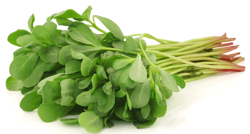 PURSLANE-IN-MEALS